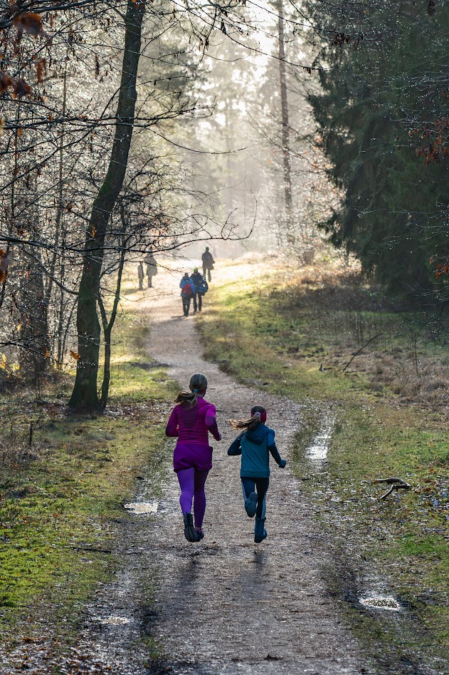 Silvesterlauf 2025-2